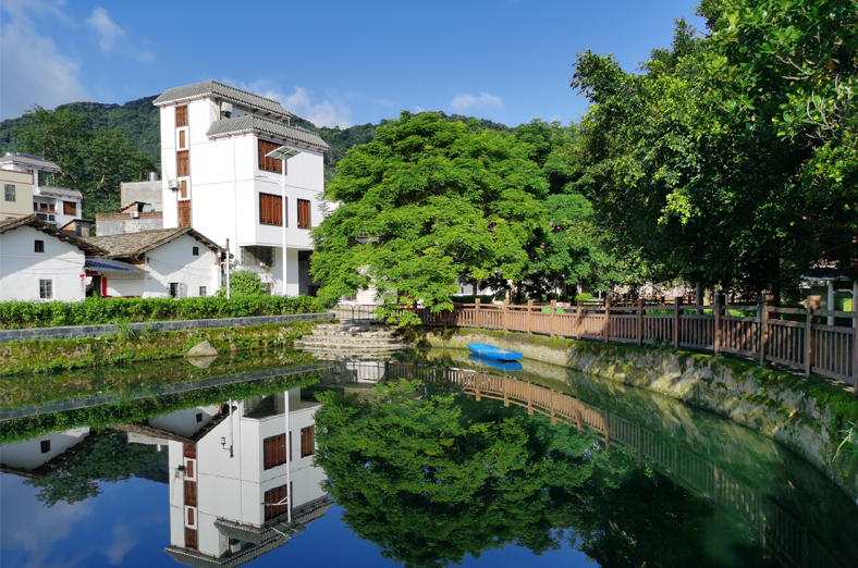 从化区南平村水塘生态修复示范项目